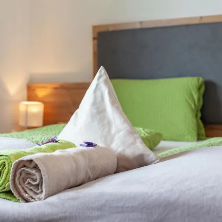 Birgit By Interhome * Stumm